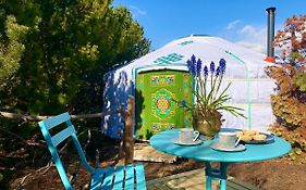 Valhalla Yurts Odin