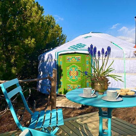 Valhalla Yurts Odin Selfoss Extérieur photo