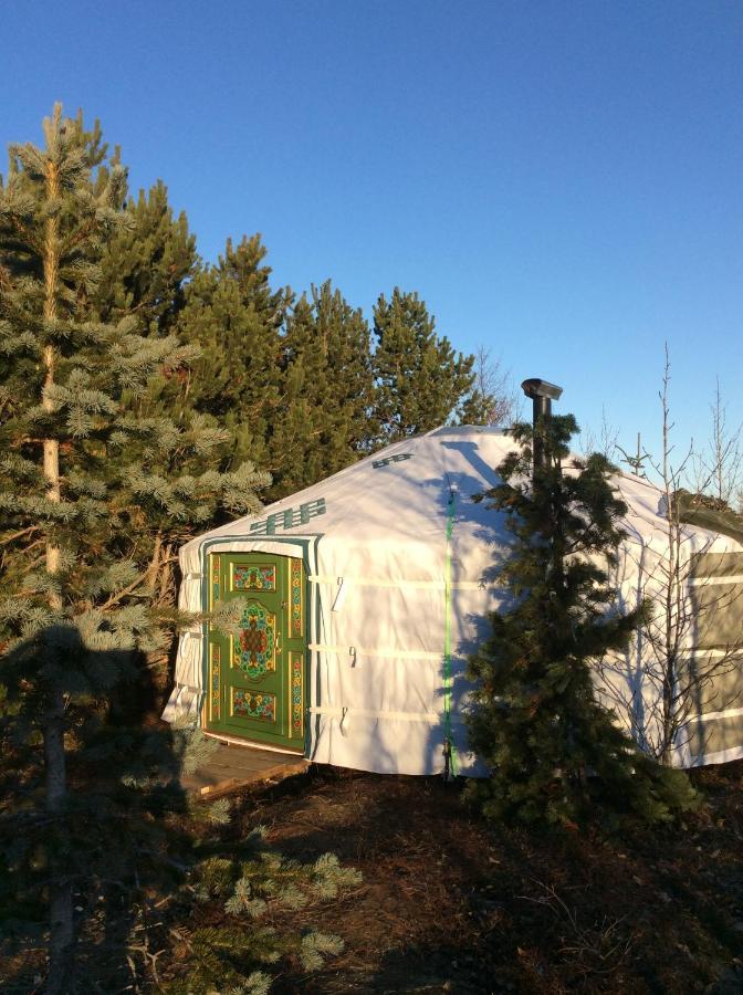 Valhalla Yurts Odin Selfoss Extérieur photo