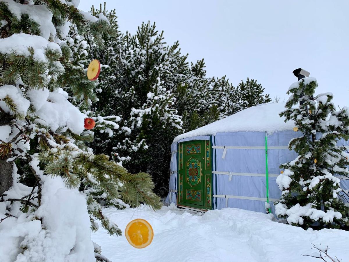 Valhalla Yurts Odin Selfoss Extérieur photo