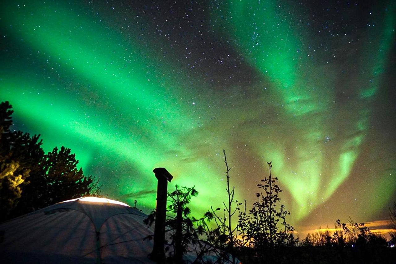 Valhalla Yurts Odin Selfoss Extérieur photo